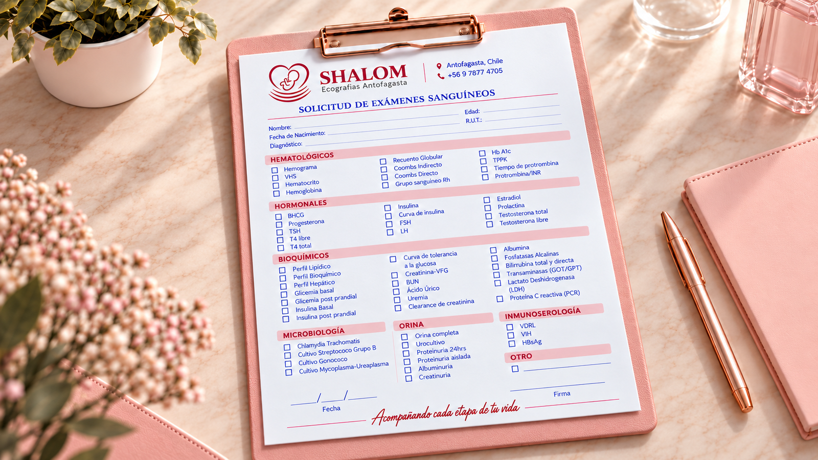 Solicitud de Exámenes Sanguíneos en SHALOM Servicio Matronil